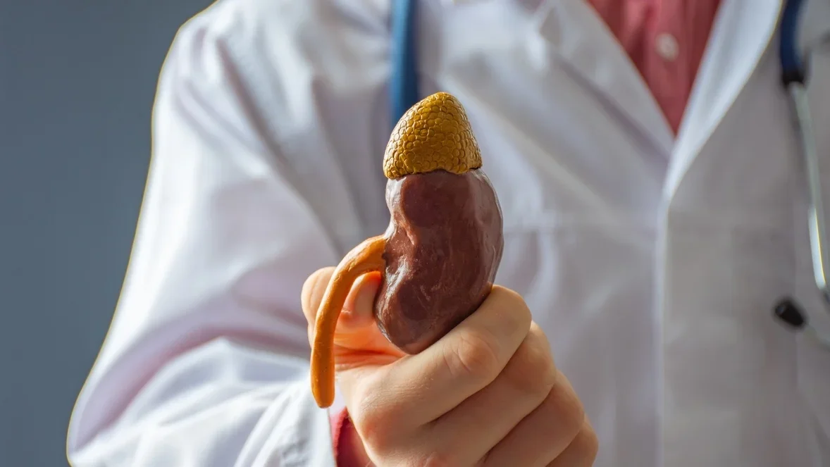 Programa de diálisis domiciliaria