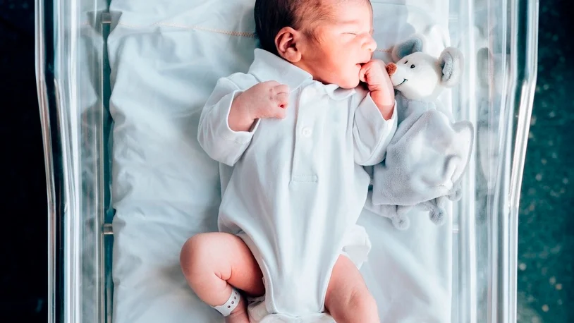 Bienestar Neonatal y Pacientes Críticos (B+C)