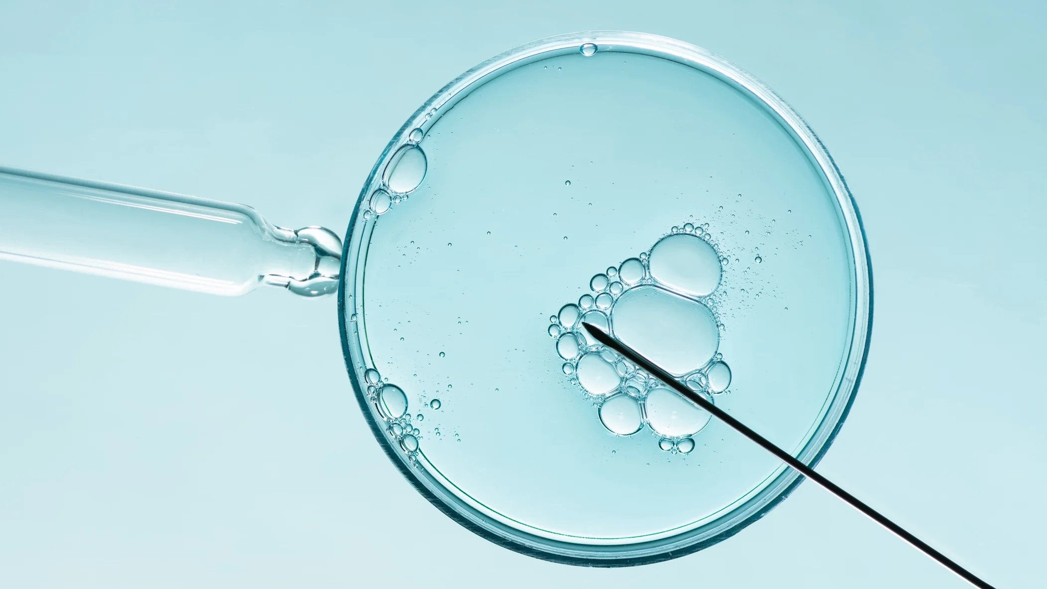 Diagnóstico In Vitro