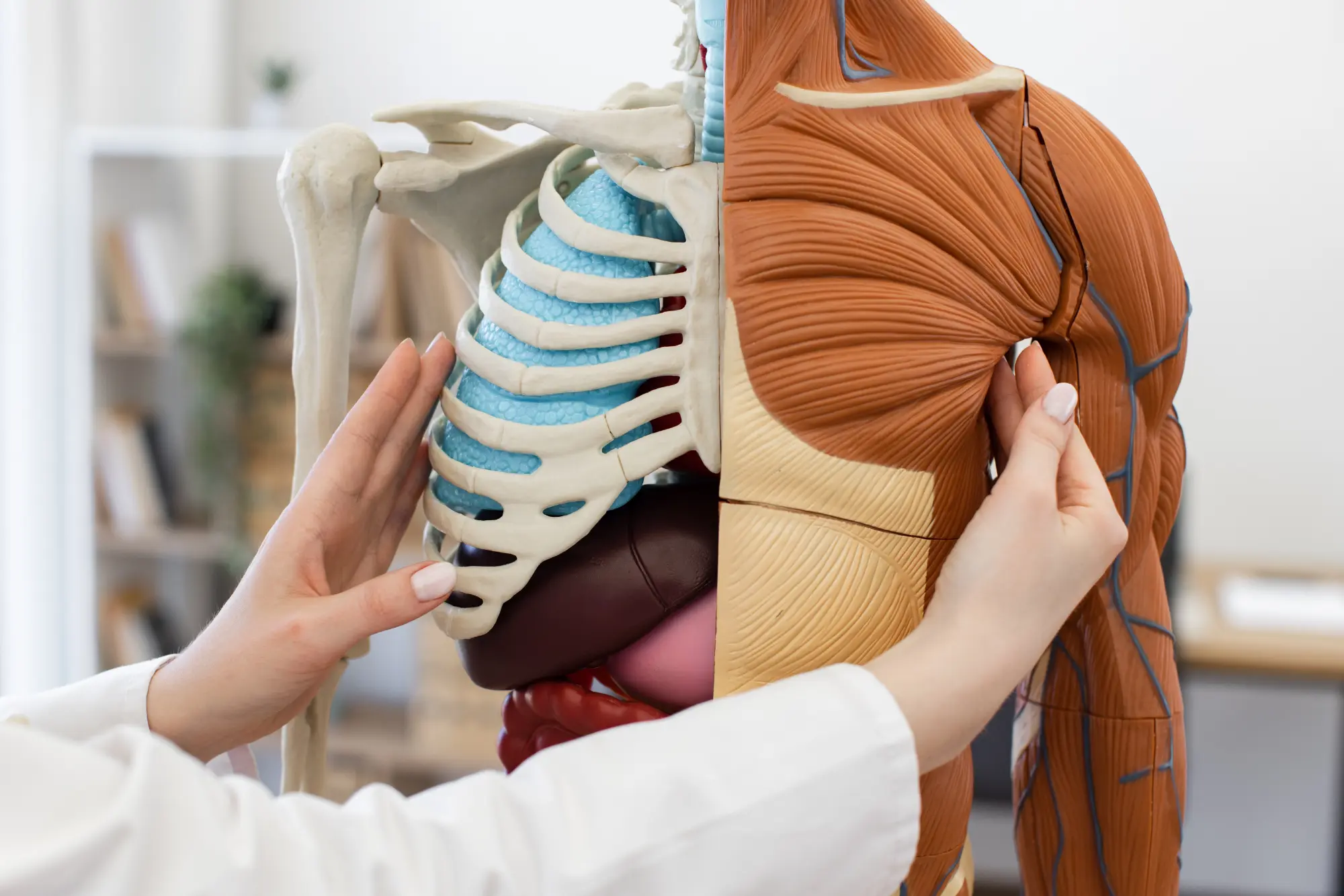 Chest Operation Non-Invasive Surgery: Equipment and Laparoscopy | Palex